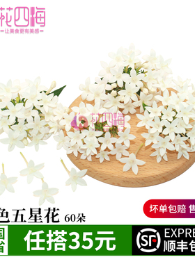 新鲜五星花 白色五星花 小花 繁星花 酒店西餐厅冷艺摆盘装饰鲜花