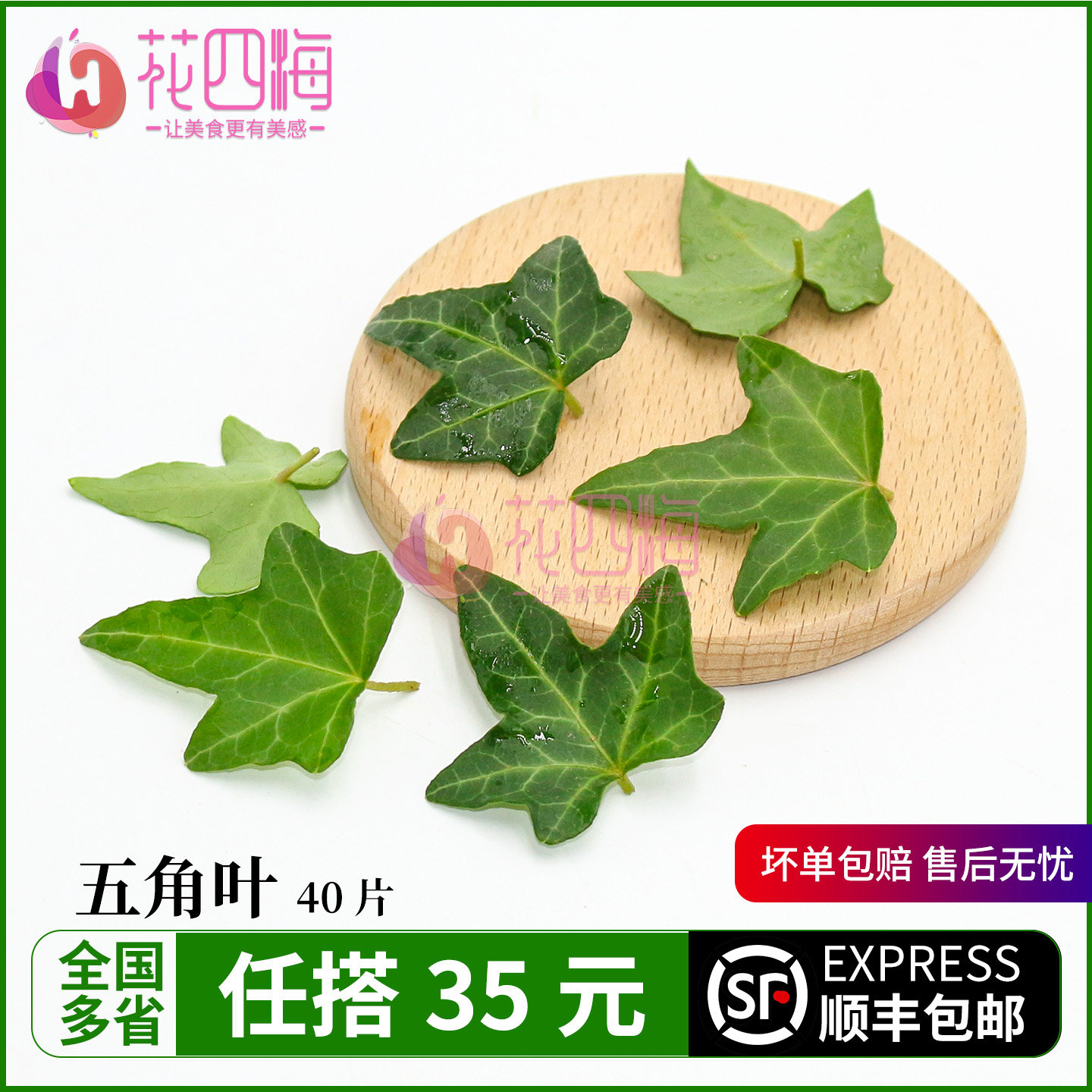 新鲜五角叶 常青藤叶子 烘焙蛋糕西餐装饰西餐摆盘装饰花草