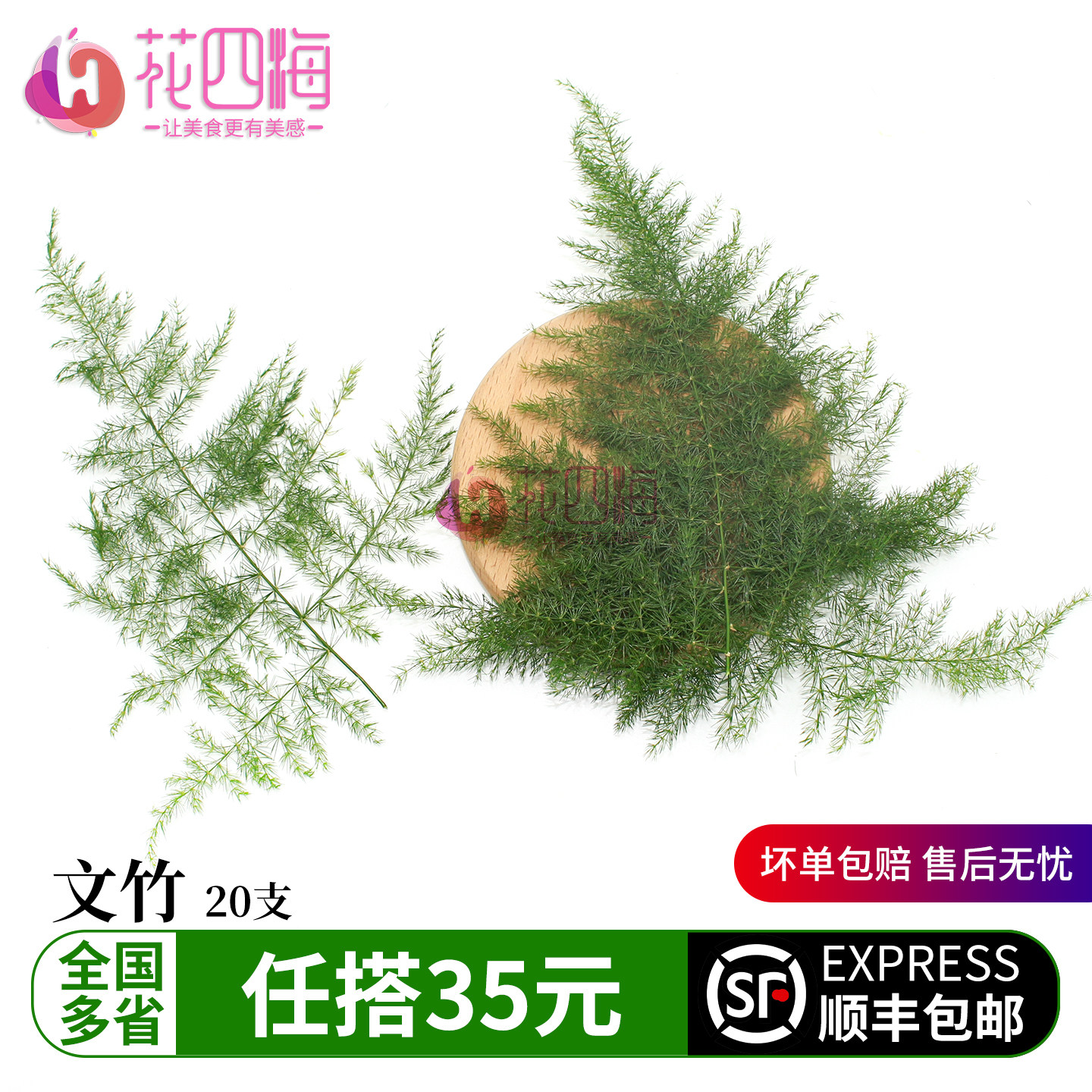 新鲜文竹 云片竹叶 云竹 鲜切枝叶西餐摆盘酒店冷菜装饰点缀叶子