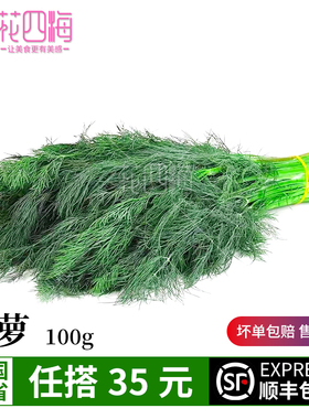 新鲜莳萝草 dill 刁草 洋茴香 土茴香摆盘装饰西餐调料100g