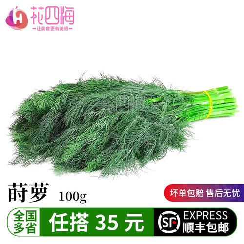 新鲜采摘莳萝草坏单包赔现采现发