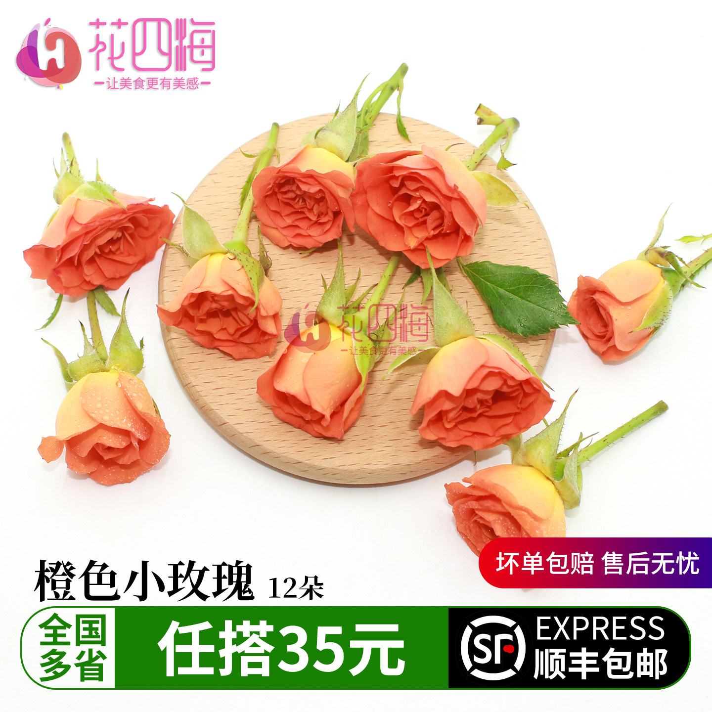 新鲜橙色小玫瑰花朵 多头玫瑰 日料烘焙蛋糕盘饰西餐摆盘装饰花草