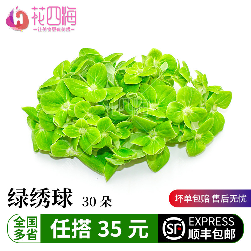 新鲜绿绣球价优西餐冷艺摆盘装饰图片