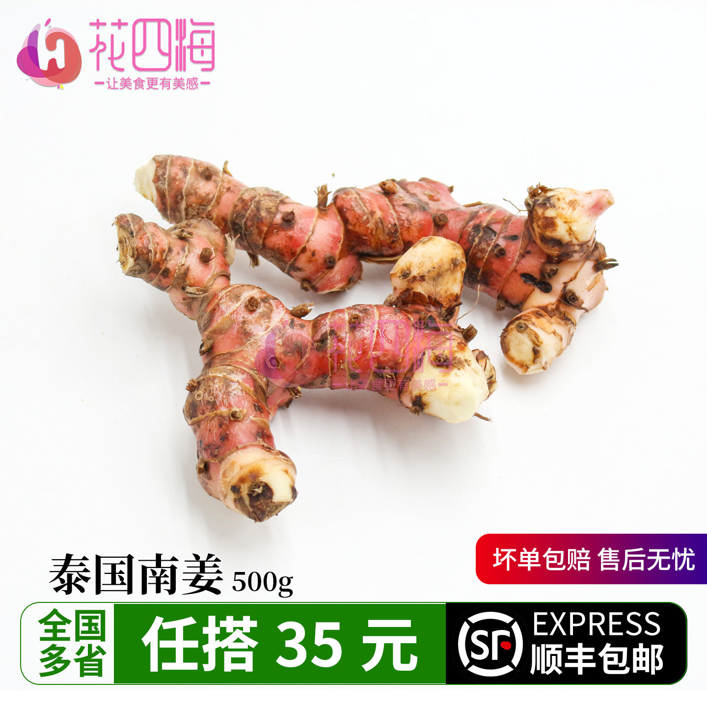 新鲜泰国南姜 良姜 芦苇姜 潮汕牛肉火锅底料 去腥卤味冬阴功汤料
