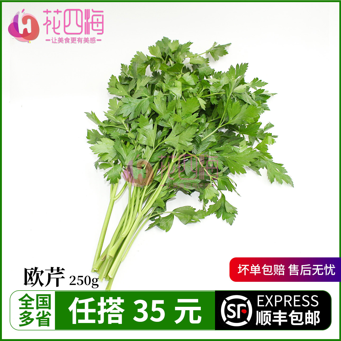 新鲜蔬菜意大利芹 欧芹 芹法国香菜 巴西里香料 西餐食材