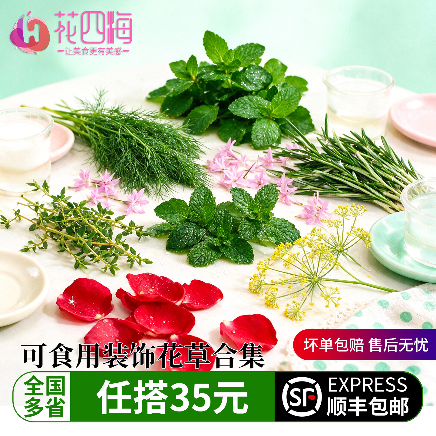 可食用蛋糕装饰鲜花草套餐迷迭香薄荷莳萝荷兰芹玫瑰烘焙摆盘合集