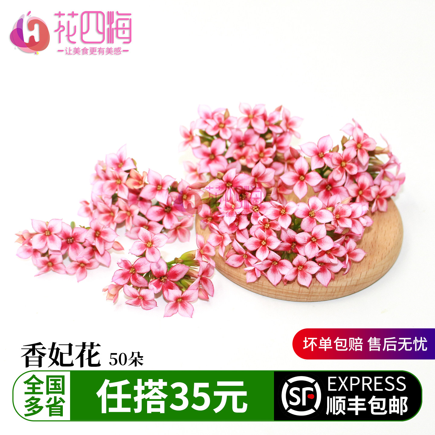 新鲜香妃花 四星花繁星花微型小花 日料酒店西餐装饰餐饮摆盘鲜花