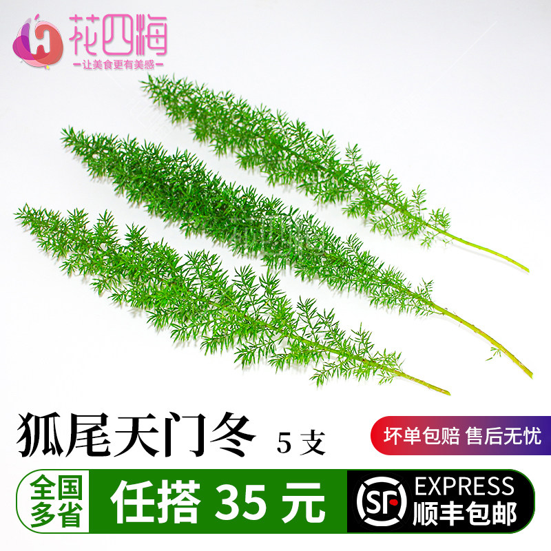 新鲜天门冬 狐尾天门冬5根 日料刺身餐饮酒店摆盘装饰鲜花