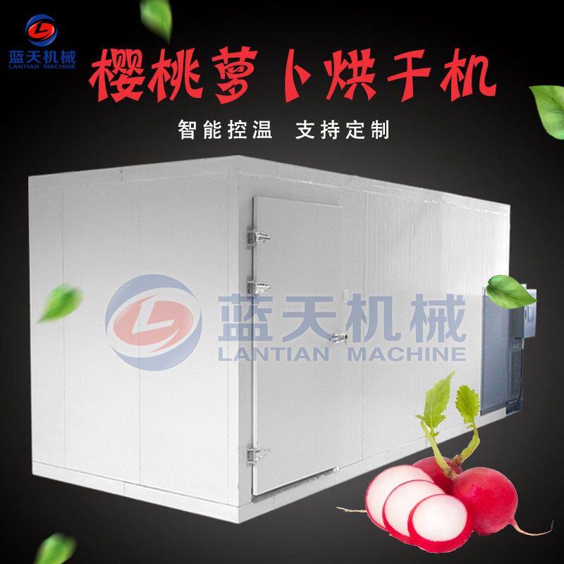 空气能樱桃萝卜烘干机 全自动水果萝卜烘干房 小萝卜脱水烘干设备