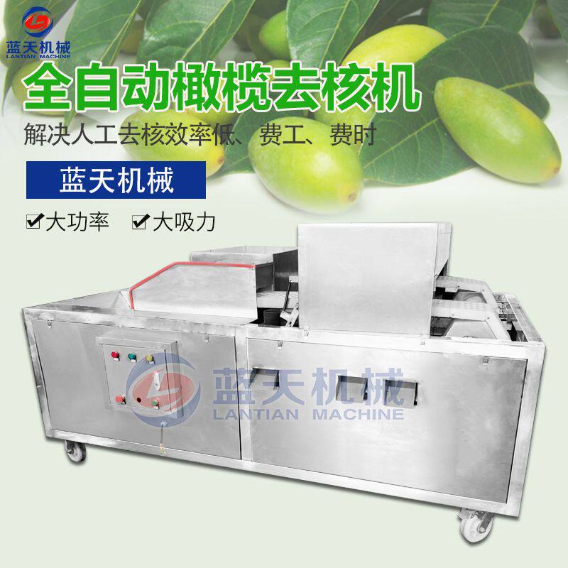 蓝天全自动橄榄去核机 商用电动青橄榄去核机器 甘榄青果去核设备
