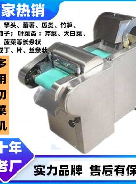 大型快速多功能切菜机 小型锅饼切片机 剁椒机 多用切片机