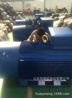 众泰防爆电机众泰YSP大功率电机YTSP400-2-450KW电机一路同行好