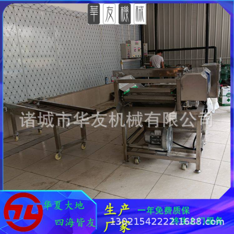 全自动整鱼鱼段挂冰机 扇贝柱鱿鱼裹冰设备 大型海产品挂冰机