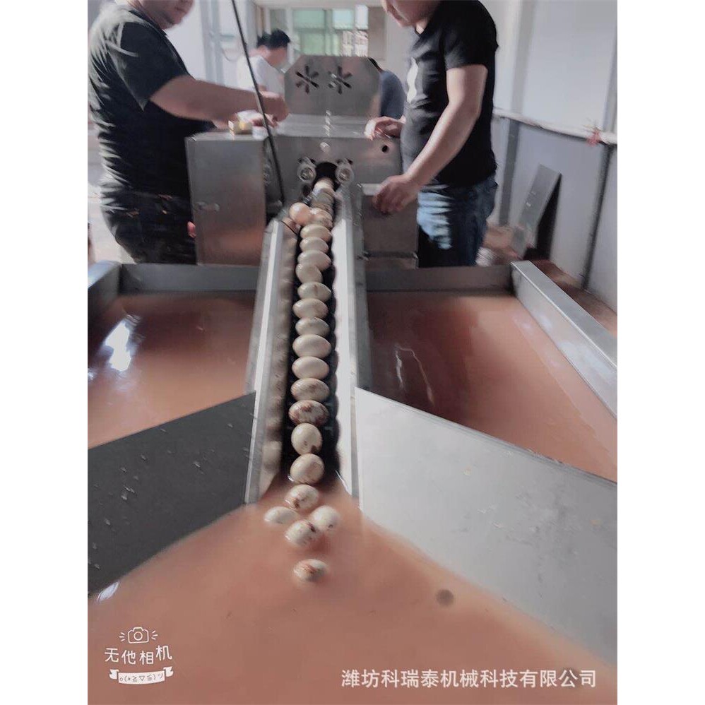 鸡蛋鸭蛋流水线自动化设备 成套鸡蛋鸭蛋清洗消毒喷油喷码一体机