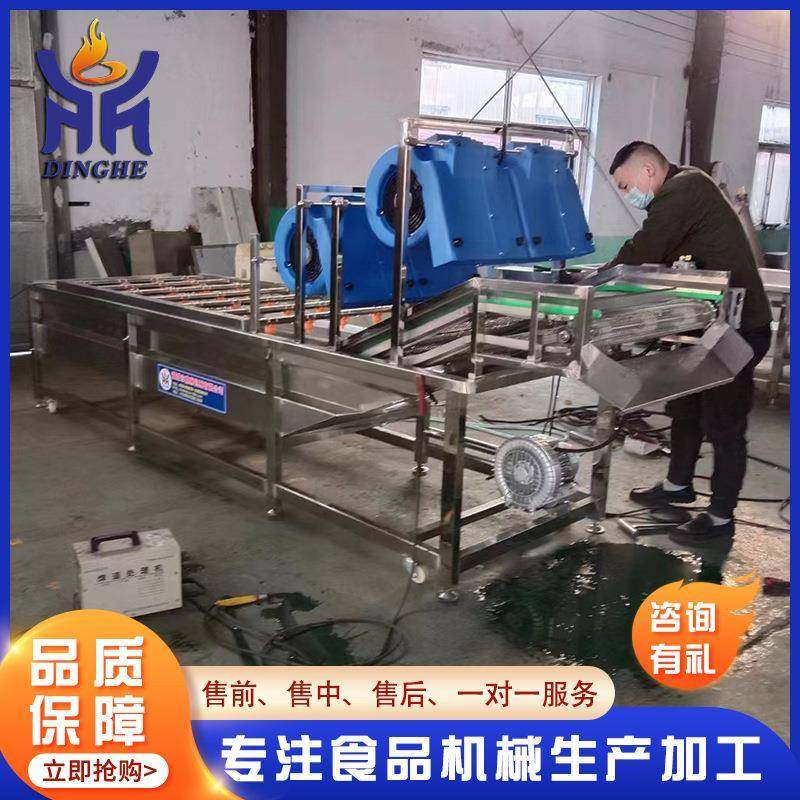 果蔬清洗强流风干机 果冻软包装吹干机 杀菌后包装袋除水风干设备,清洗/食品/商业设备,果蔬加工设备,淘宝优惠券,粉丝福利购,淘宝优惠卷