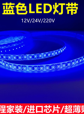 12VLED灯带蓝色灯带24V蓝光灯条220V家装高亮超薄贴片低压自粘