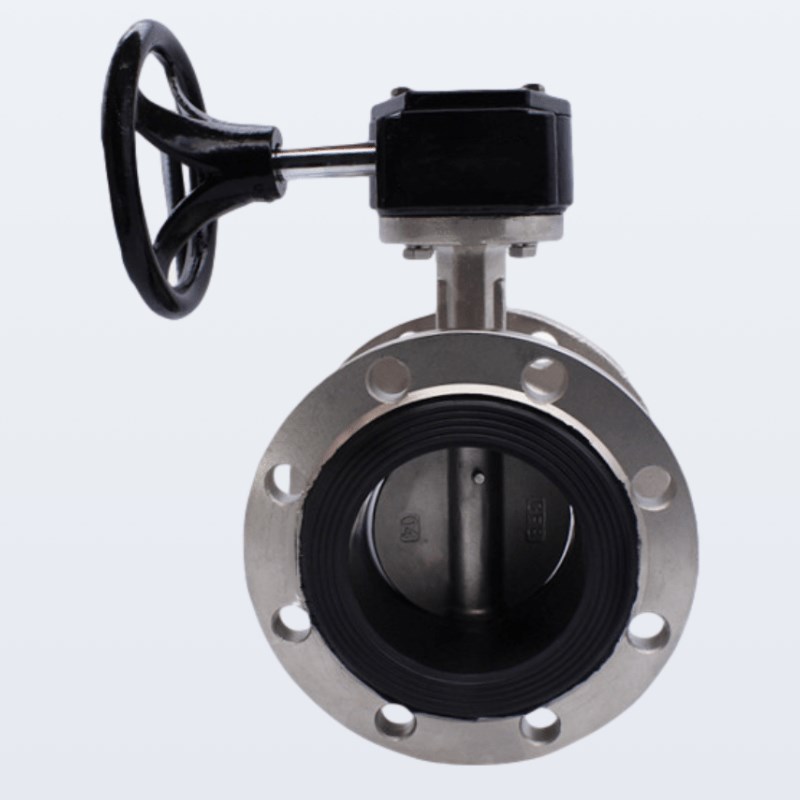 D341X-16P不锈钢304涡轮软密封四氟法兰蝶阀DN506580100150200300