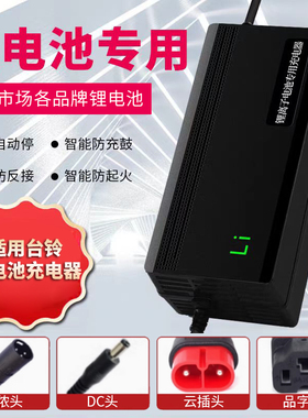 适用台铃电动车锂电池充电器48V2A代驾车54.6V锂离子电瓶电车原装