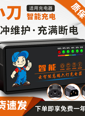 琳茵适用小刀电动车电瓶充电器48V20AH60V72V20A小刀电动车充电器