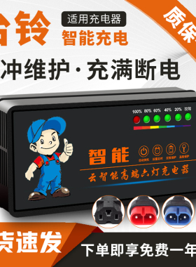 琳茵适用台铃电动车充电器48V12AH60V20AH72V32A台铃电动车充电器