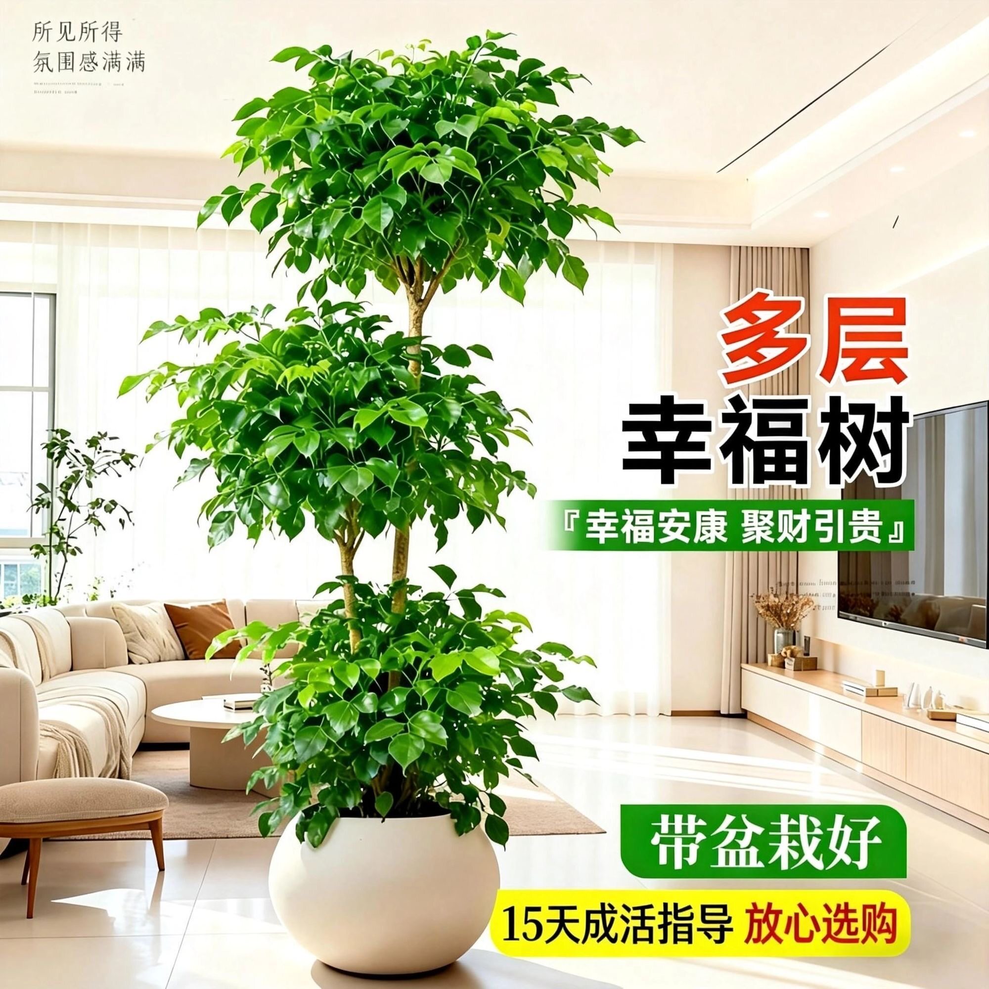 三层幸福树北欧风绿植大绿宝大型客厅送礼办公室净化空气室内盆栽