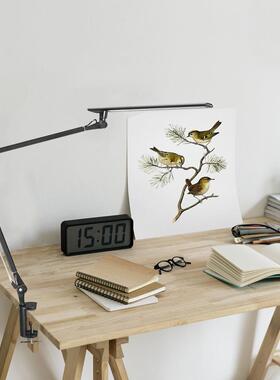 亚马逊爆款高学生设师用学生学习计工亮作检验长臂l台89456ed护眼