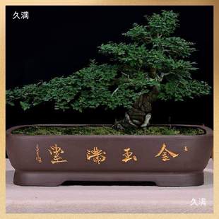 假山盆景托盘石盘底座紫砂花盆长方形深盆假山吸水石户外庭院上水