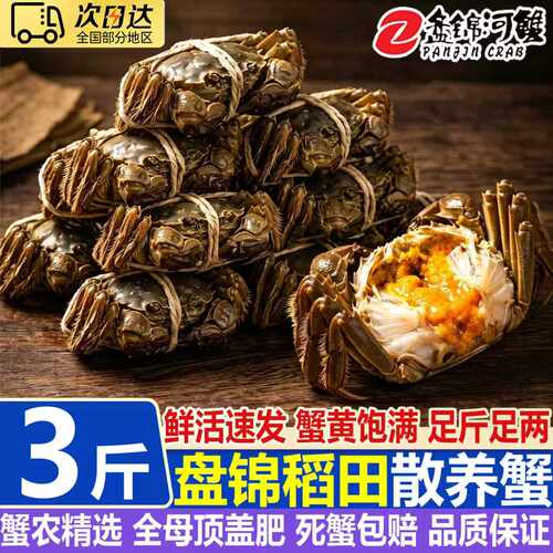 盘锦鲜活大闸蟹礼盒顺丰冷链