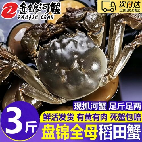 盘锦鲜活大闸蟹全母礼盒顺丰冷链