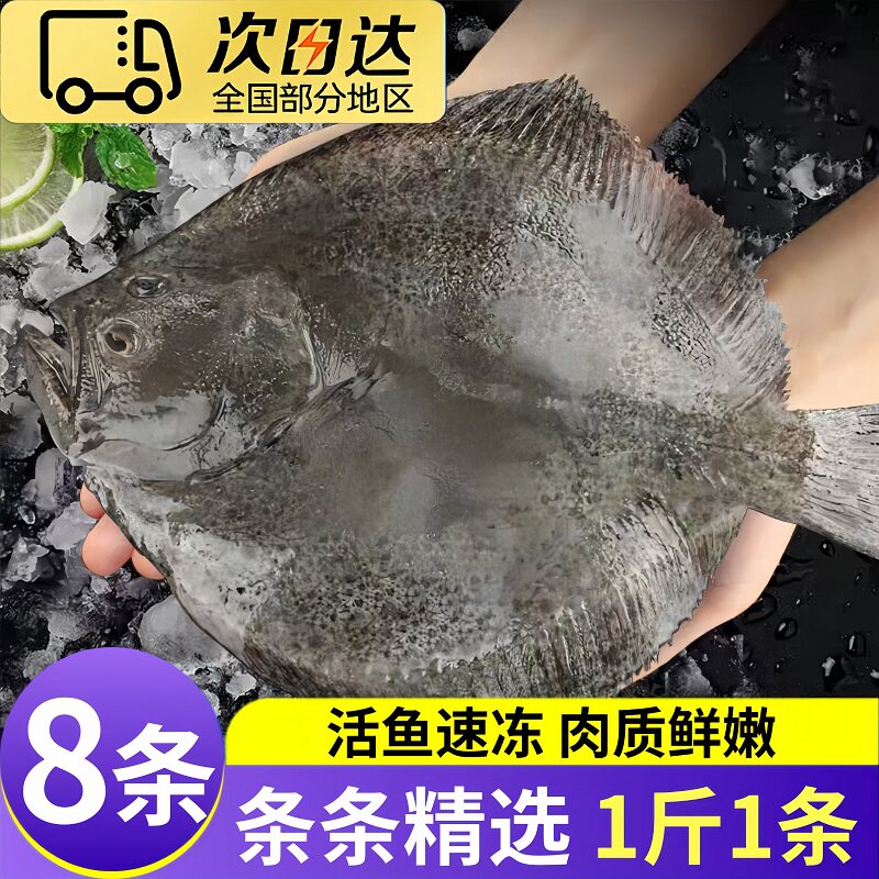 8条装多宝鱼新鲜冷冻比目鱼顺丰
