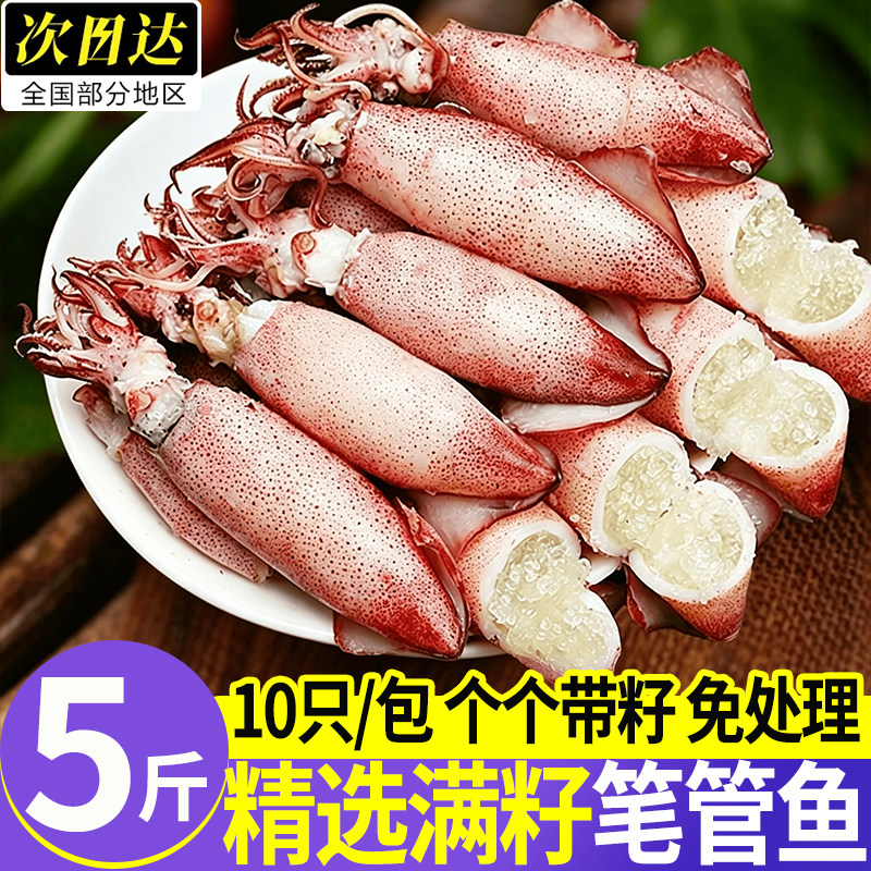 青岛满籽带籽新鲜无沙鱿鱼