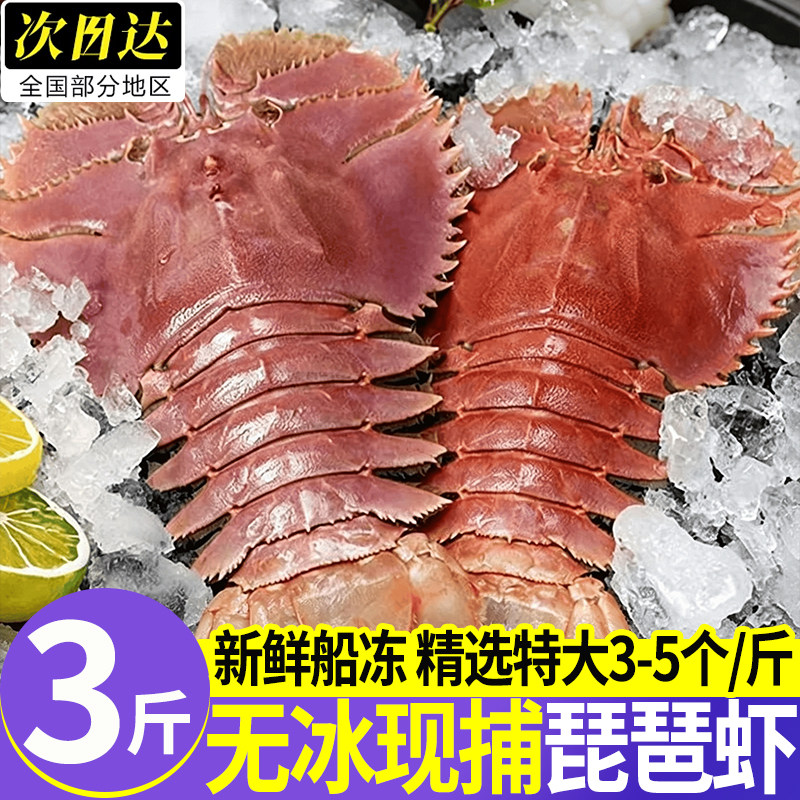 无冰速冻刺身级超大九齿扇虾