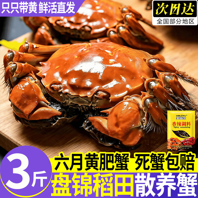 盘锦鲜活大闸蟹公母礼盒顺丰冷链