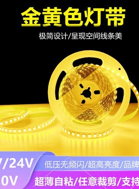 贴片灯带低压12hV24V高亮橙色2835金黄120灯LED防水照明橘黄软灯