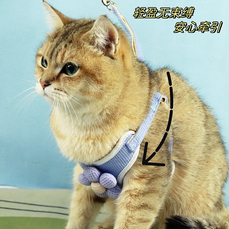 狗狗牵引绳外出胸背带式防挣脱牵狗绳舒适不勒脖可调节宠物牵引绳