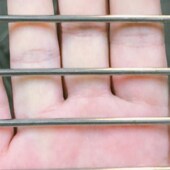 格钢丝网c钢筋30网片不锈钢网加粗筛网 钢丝网焊接4片防护网防盗