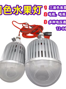 调光水果灯摆摊电瓶m专用 12-84伏流动摊位照明灯渐变调红色夜市