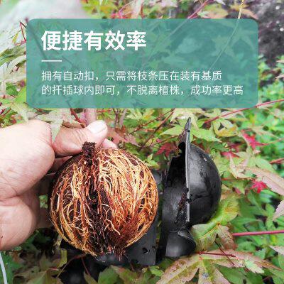 高空压枝盒繁殖植物高压球嫁接高位压条生根盒控根器盆高枝压条盒