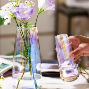 ins风轻奢简约透明玻璃花瓶水培鲜花插花小花瓶客厅水养创意摆件