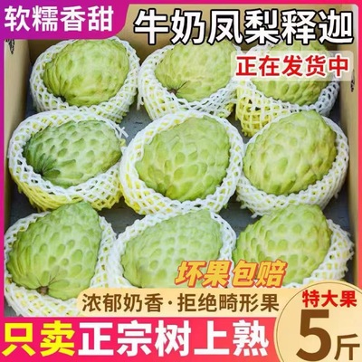 凤梨牛奶释迦林檎果当季应季时令