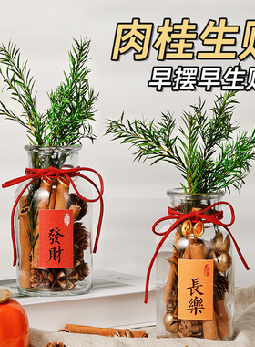 肉桂生财摆件瓶子diy工位办公室乔迁新居开业礼物搬家香薰摆件