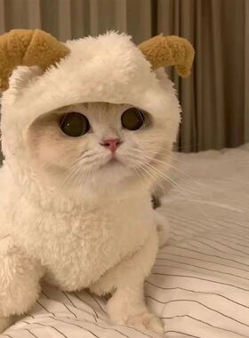 猫咪衣服秋冬装加厚唐装泰迪四脚衣变身装幼犬小型犬宠物狗狗可爱