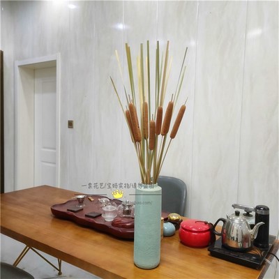 香蒲棒香蒲棒 新品香蒲草n 水蜡烛真花干花干枝干草插花装饰摆饰