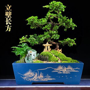 宜兴紫砂长方形花盆透气养根现代简约有孔椭圆大号老桩室外盆景盆