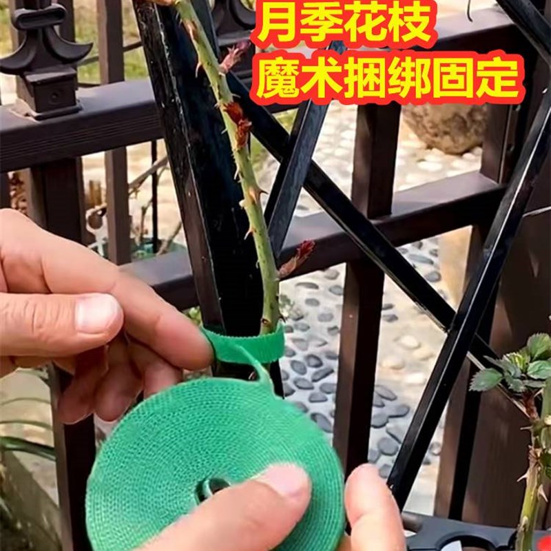 爬藤架固定器魔术k贴绑花器月季花枝藤蔓园艺扎带塑形收紧一体神