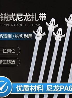 塑料插销尼龙扎带飞机头型汽车扎带束线带线束3*1103*130500条