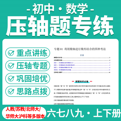 2025初中数学压轴题精讲精练解题规律专项训练培优讲义七八九年级上下册北京北师大沪教沪科华东师大人教苏教湘教浙教电子版
