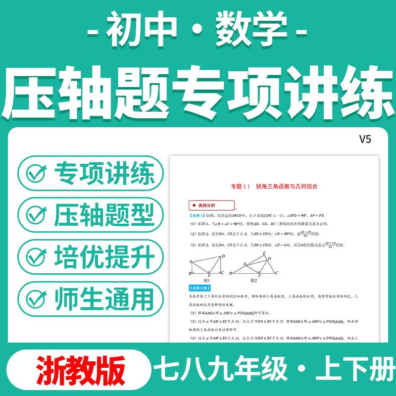 2025浙教版初中数学压轴题专项讲练系列专题强化提升训练七八九年级上下册电子版资料