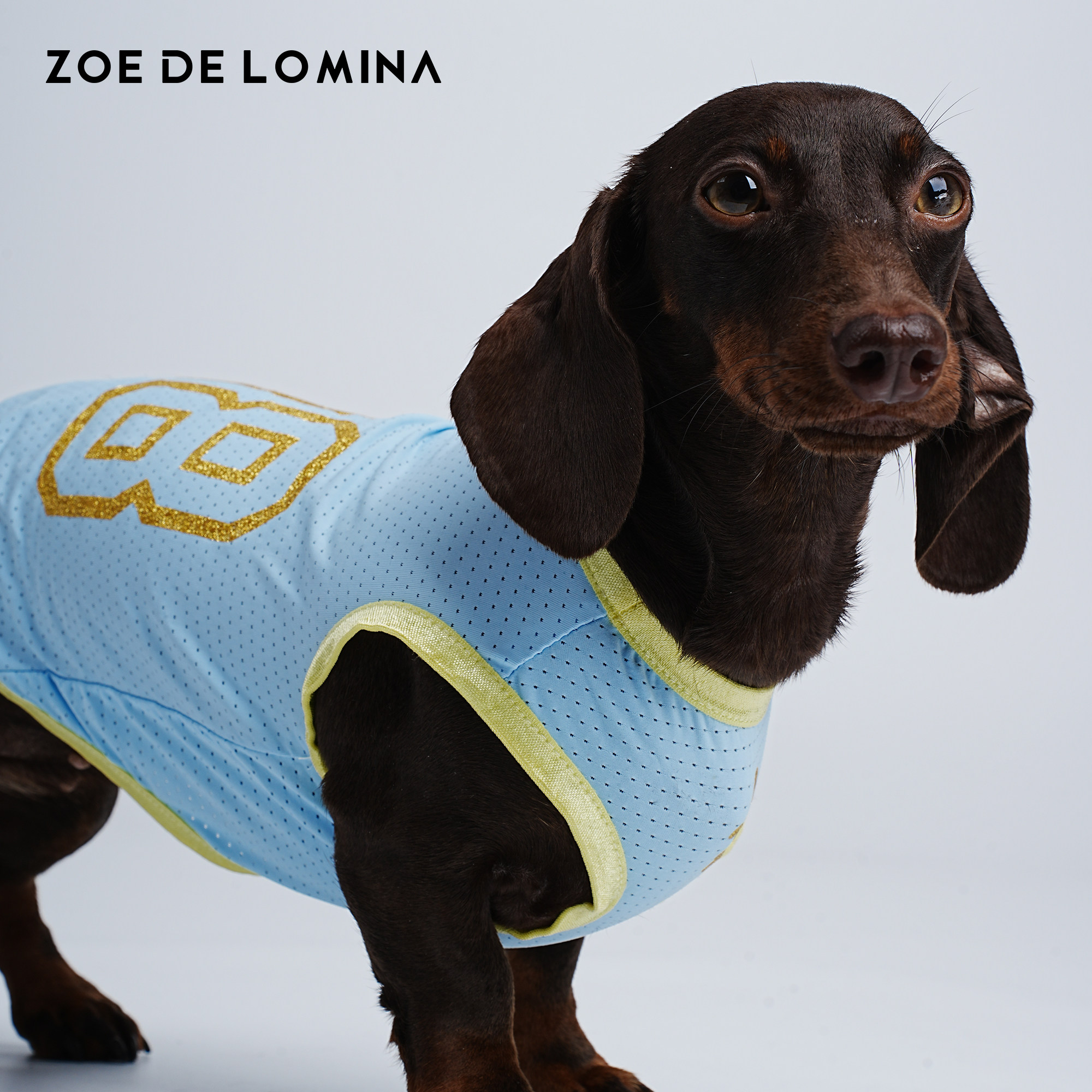 ZOE新款宠物小狗运动会系列AIR DOG背心限定款贴肤透气散热防静电