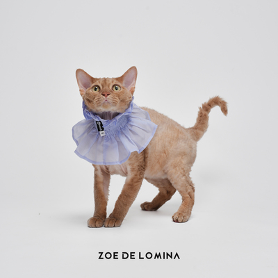 zoe宠物狗狗猫咪围脖口水巾狗狗花朵围兜薄纱可爱拍照装饰品